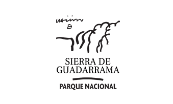 partners logo 21