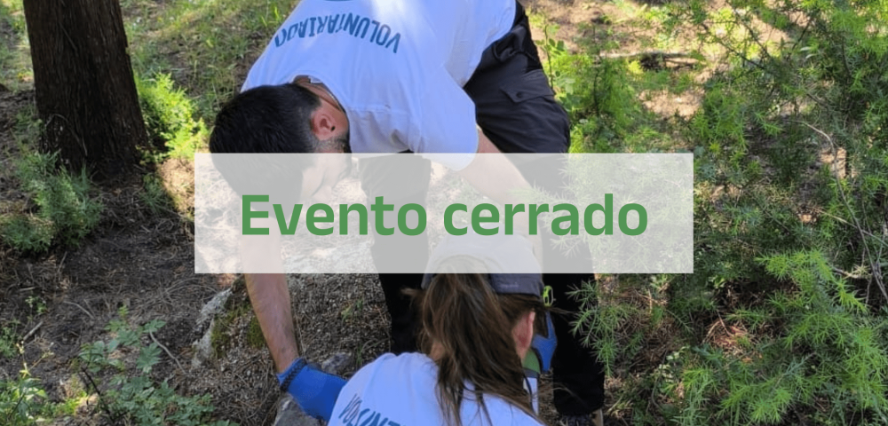 Cerrado (1)