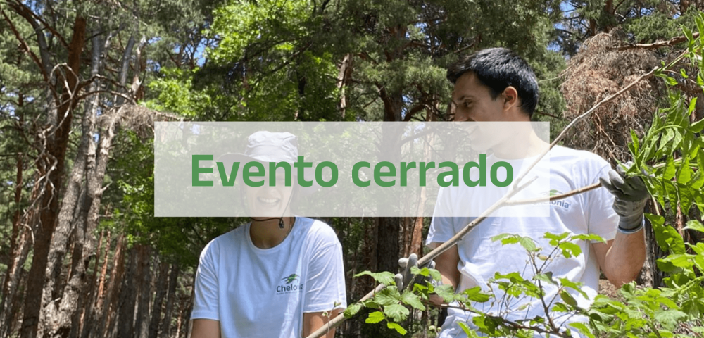 Cerrado (3)