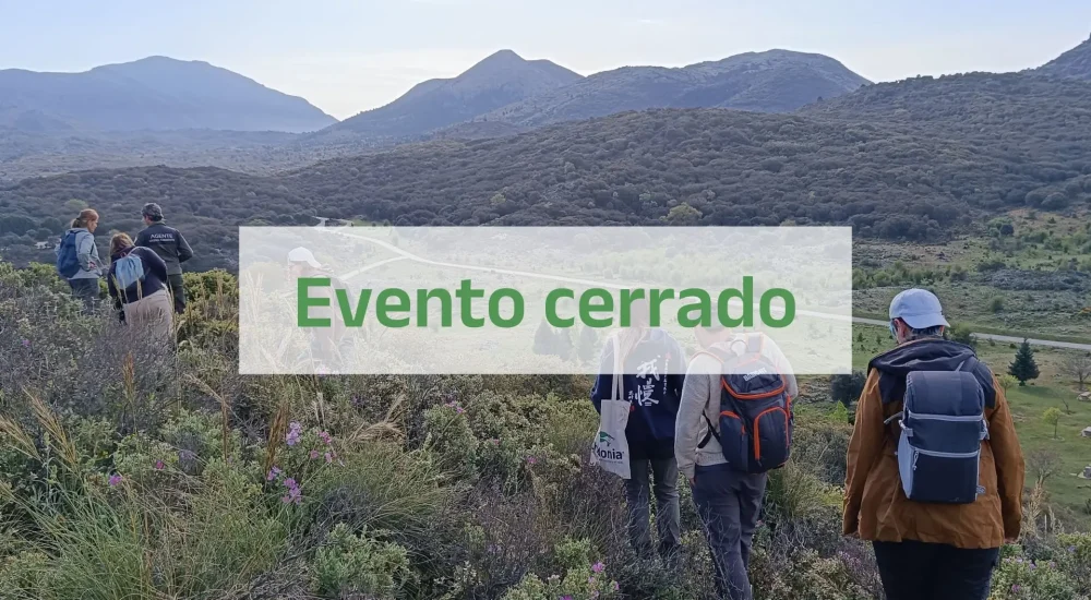 Cerrado
