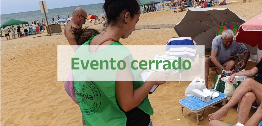 Cerrado
