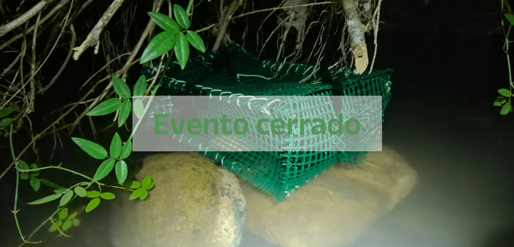 Evento cerrado (9)