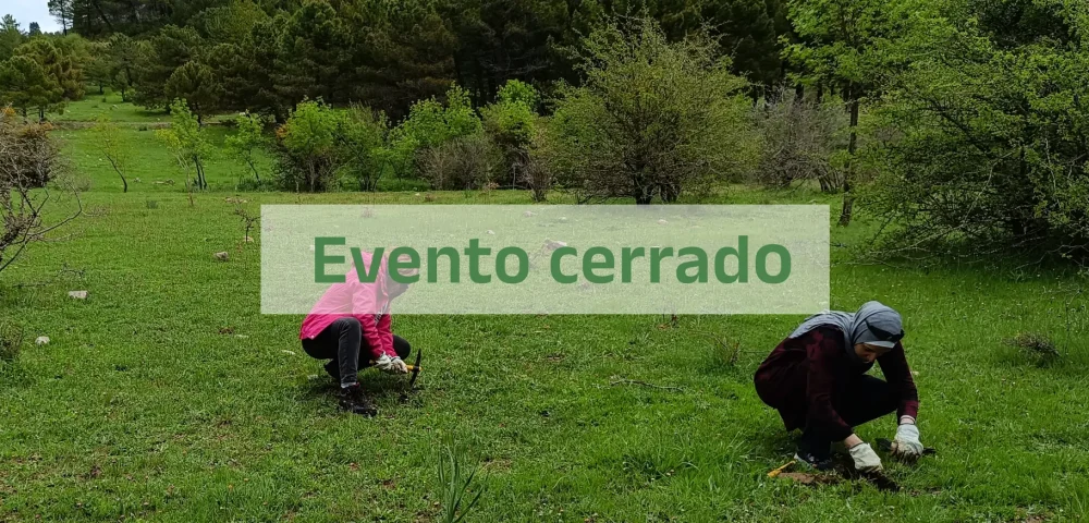 IMG_20240427_153919_Cerrado