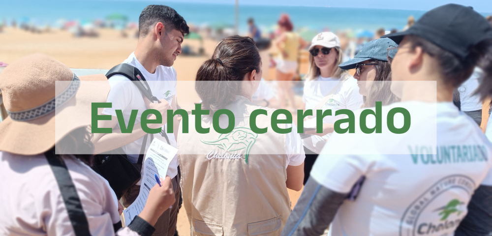IMG_20240601_125657-1 Cerrado