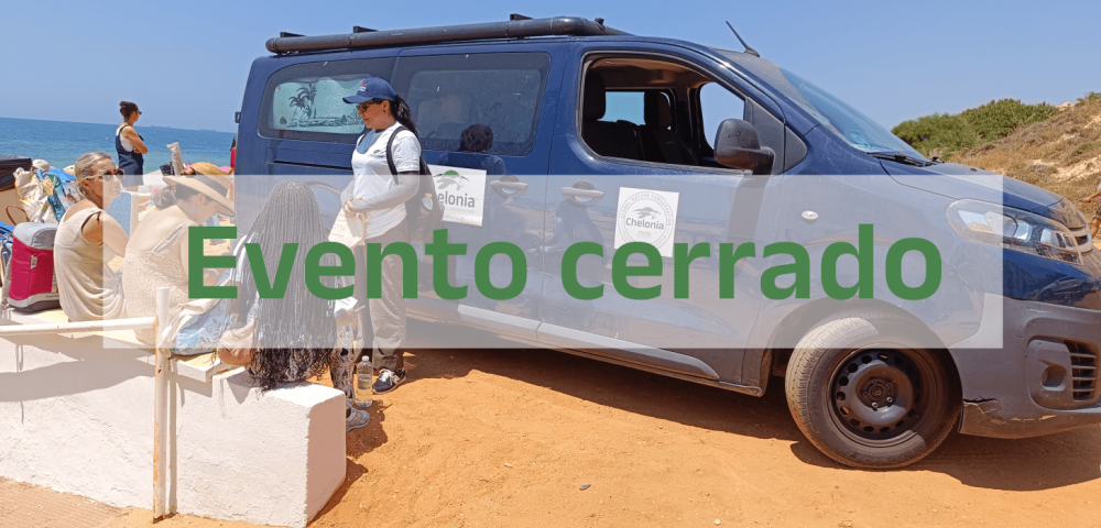 IMG_20240601_133312 Cerrado