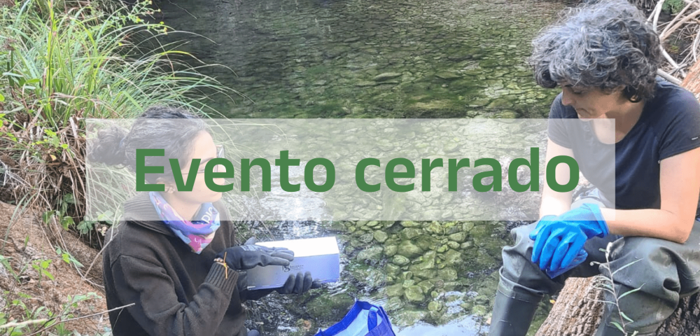 WhatsApp-Image-2024-09-26-at-5.43.01-PM Cerrado