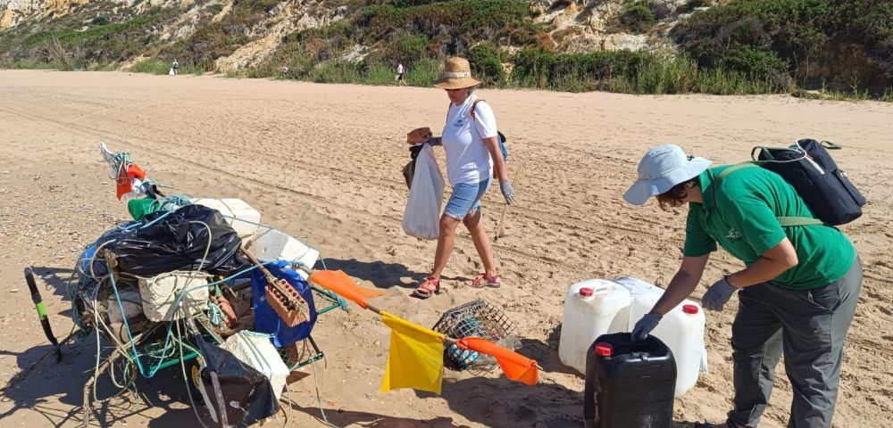 WhatsApp Image 2025-05-25 at 2.52.33 PM